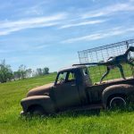 ravelling in Alberta: An Offbeat Roadside Attractions Road Trip