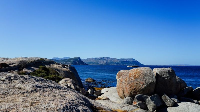 Cape Town in February: A Better Beach-and-Wine Plan