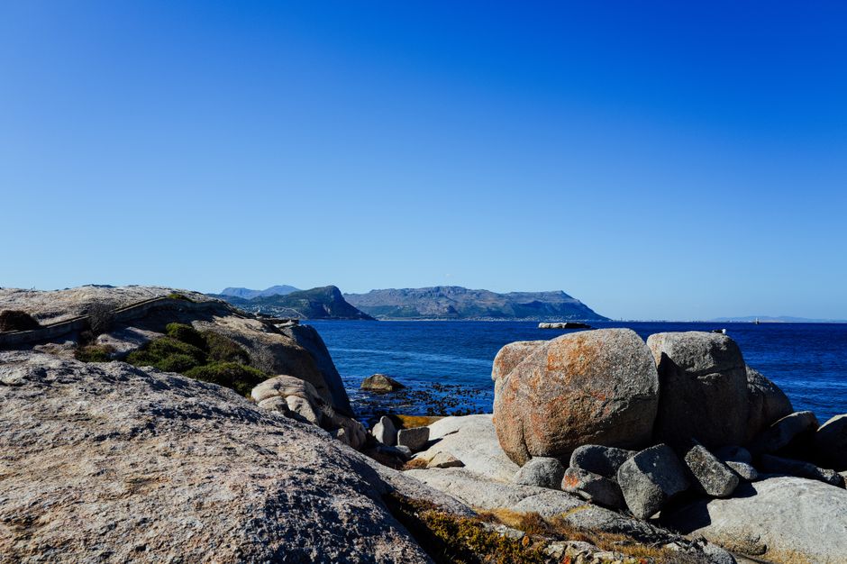 Cape Town in February: A Better Beach-and-Wine Plan