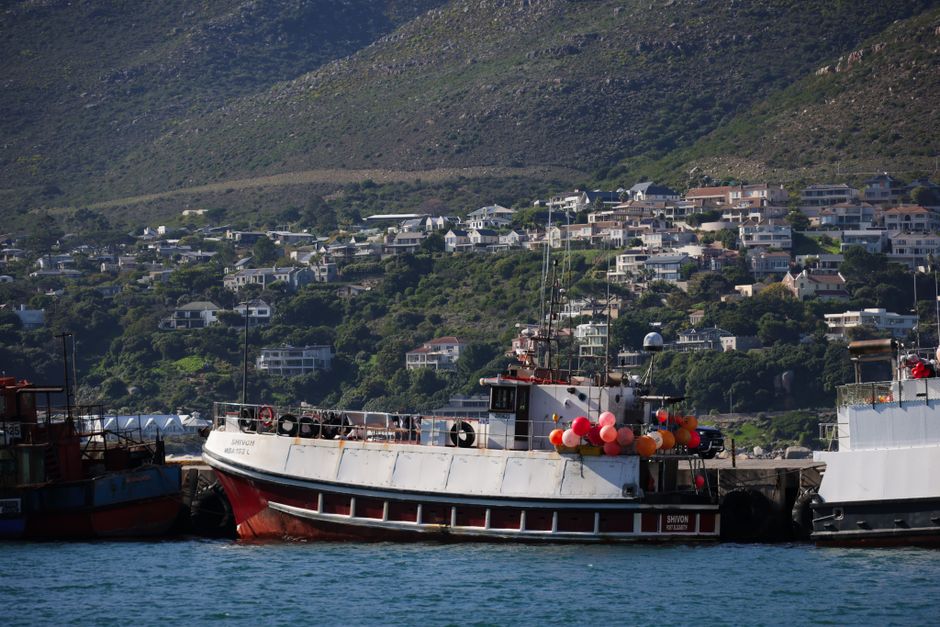 Vibrant fishing boats docked with colorful balloons in Hout Bay harbor beneath hillside homes.