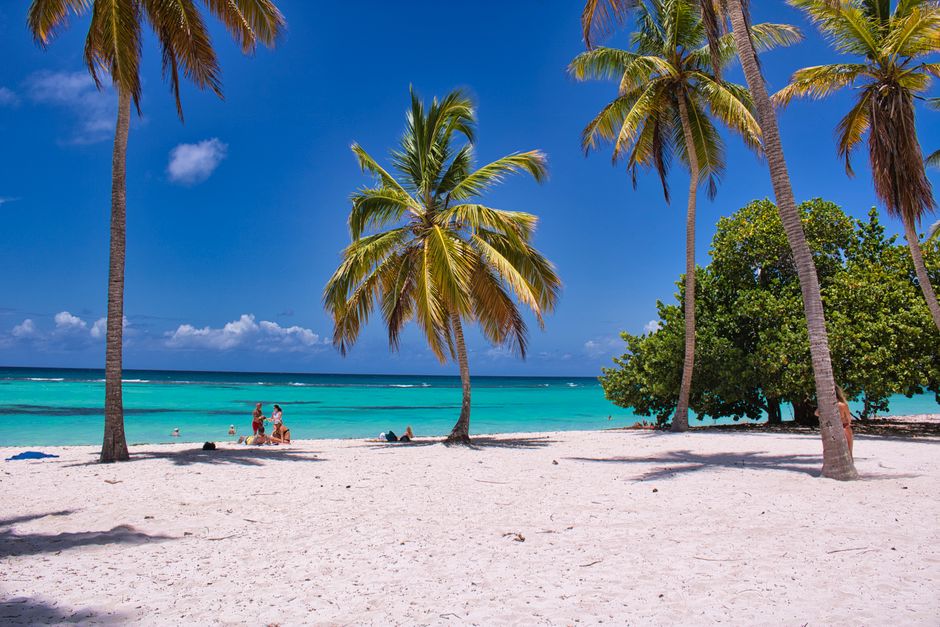 Vibrant tropical beach scene with coconut palms, turquoise water, and white sand under a clear blue sky.