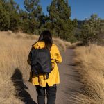 Carry-On Backpacks International Travel: 5 Carry-On Backpacks for International Travel: Osprey vs. Nomatic vs. Tortuga