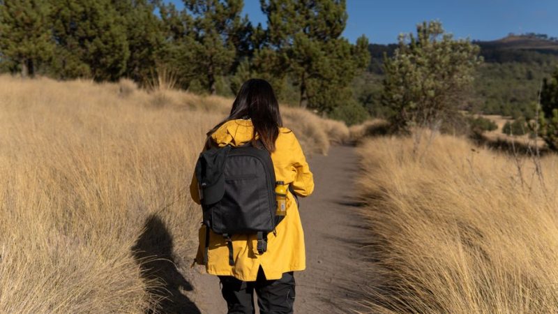Carry-On Backpacks International Travel: 5 Carry-On Backpacks for International Travel: Osprey vs. Nomatic vs. Tortuga