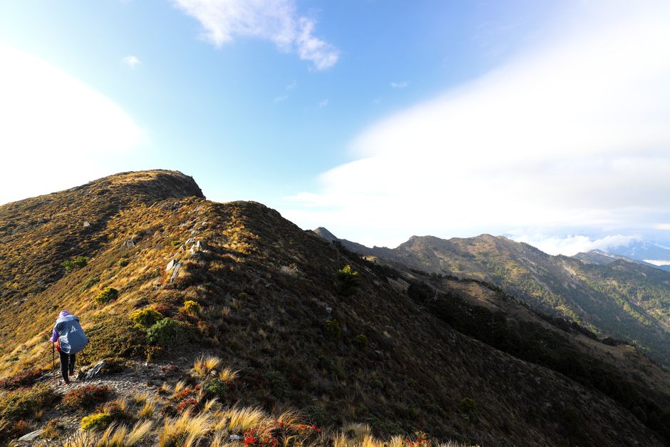 Explore Taiwan's stunning mountain landscape on a sunny day hike.