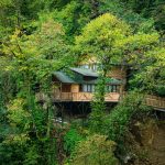Eco-Friendly Hostels in Southeast Asia Under  a Night (2026)
