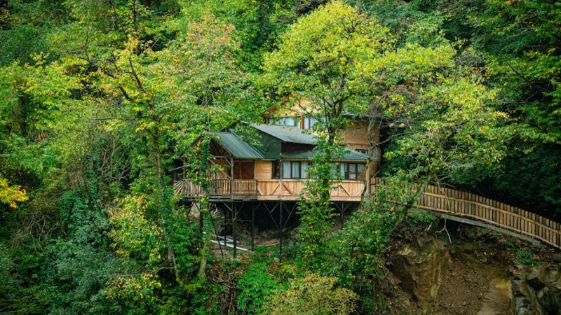 Eco-Friendly Hostels in Southeast Asia Under  a Night (2026)
