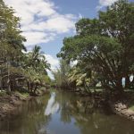 Florida Keys and Everglades in January: An Honest Plan