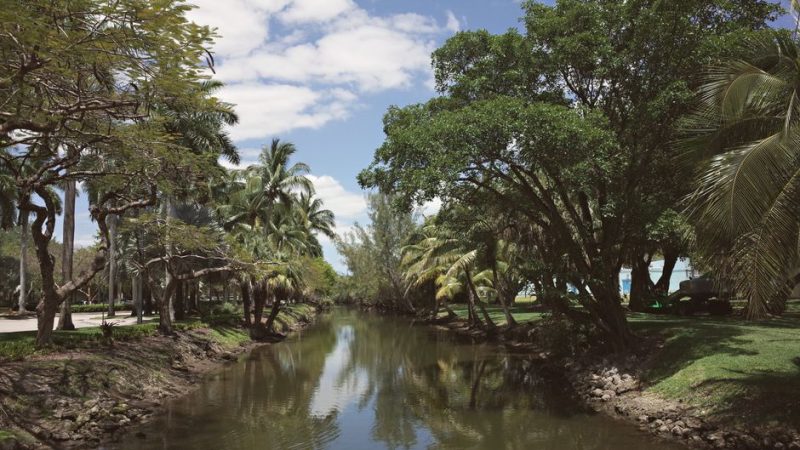 Florida Keys and Everglades in January: An Honest Plan