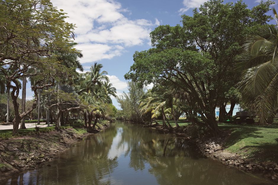 Florida Keys and Everglades in January: An Honest Plan