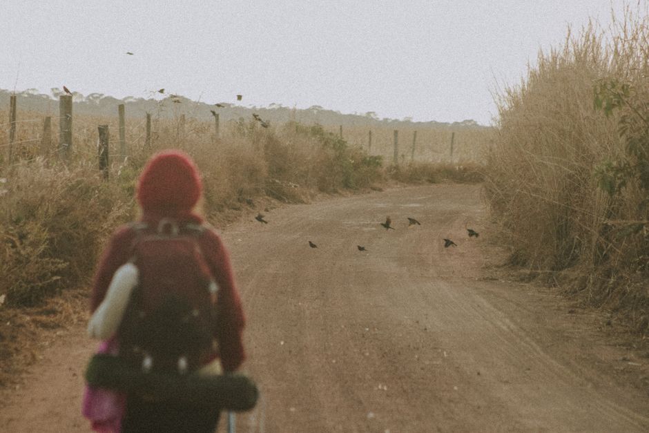 A person walking along a rural dirt road in Brazil as birds fly by.