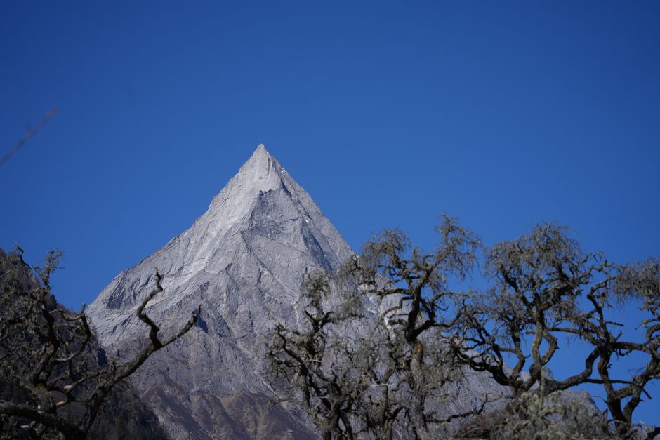 Sharp mountain peak with trees in foreground against a bright blue sky.