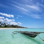 From Zanzibar: Tales of an Introvert