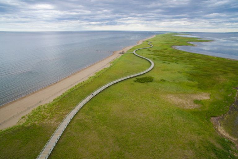 The Best Things to Do in New Brunswick (for 2025) The Best Things to Do in New Brunswick (for 2025)