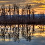 M-I-S-S-I-S-S-I-P-P-I