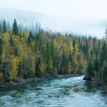 Finding Gold in the Cariboo Mountains – A Photo Journey