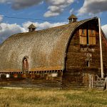 The Great White North