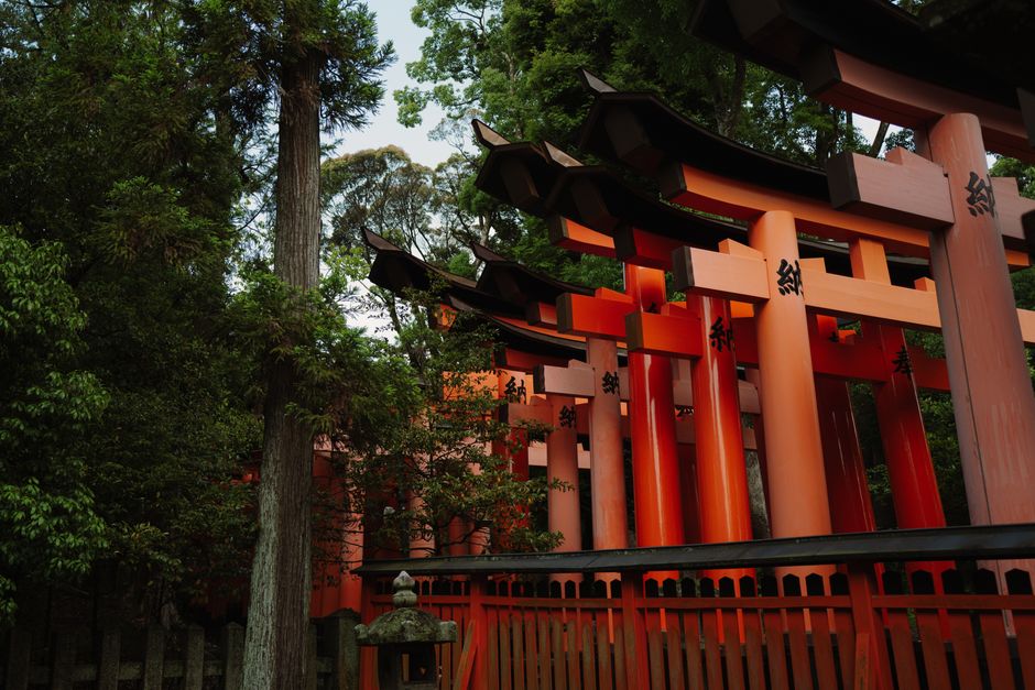 Explore the serene beauty of Kyoto's Fushimi Inari Shrine with its iconic torii gates.