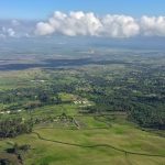 Paragliding for Chickens