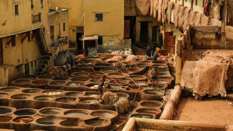 Marrakech Vs Fes Culture: Marrakech or Fes in 2026: A Brutal Cultural Comparison