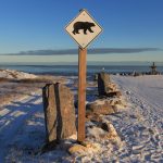 Life in a Far Northern Town – A Journey to Churchill, Manitoba