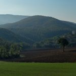 Under the Umbrian Sun