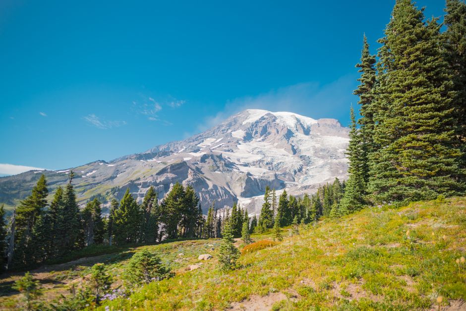 Breathtaking view of Mount Rainier with lush green forest in summer, Seattle, WA.