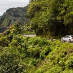 Photos Along the Road to Hana