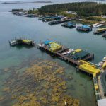 In the Tusket Islands