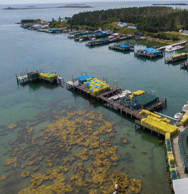 In the Tusket Islands In the Tusket Islands