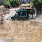 January Safari in Kenya: Dry-Season Planning That Works
