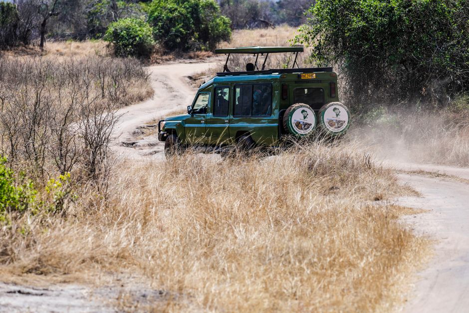 January Safari in Kenya: Dry-Season Planning That Works