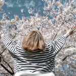 Spring in Washington DC: Blossoms and Museums