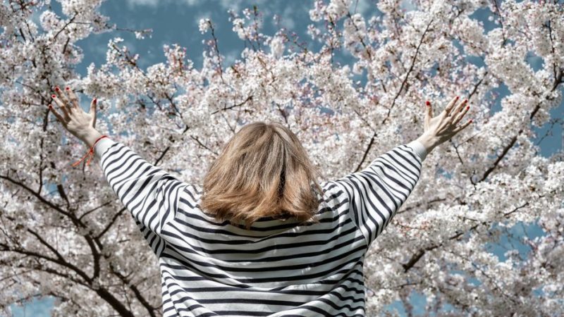 Spring in Washington DC: Blossoms and Museums