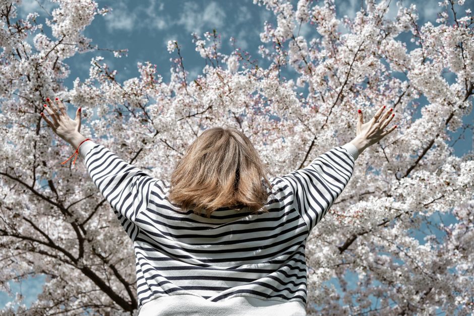 Spring in Washington DC: Blossoms and Museums
