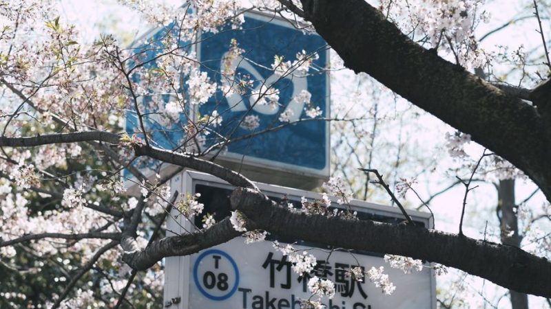 Travel Photography Japan: What 15 Years of Shooting Japan Taught Me About Travel Photography