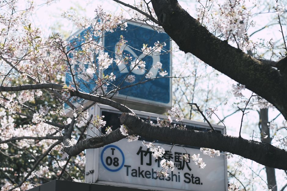 Travel Photography Japan: What 15 Years of Shooting Japan Taught Me About Travel Photography