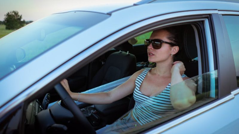 Halfords Travel Pillow Review 2024: Comfort, Pricing, and In-Store Range