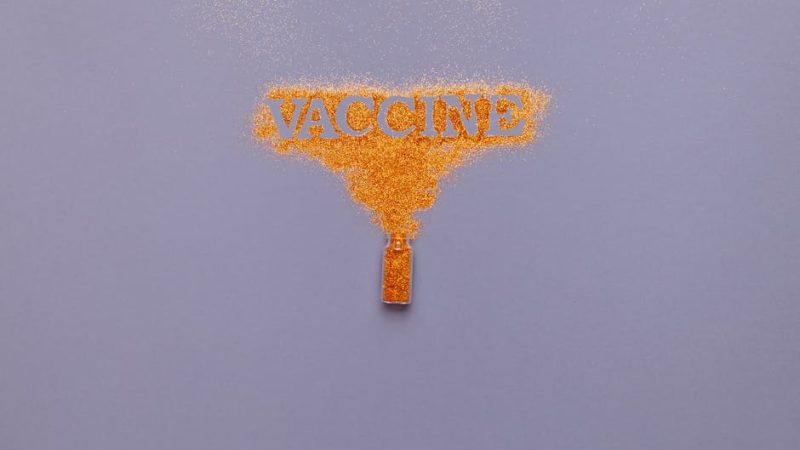 Travel Vaccinations Indianapolis 2024: Clinical Options and Cost Analysis