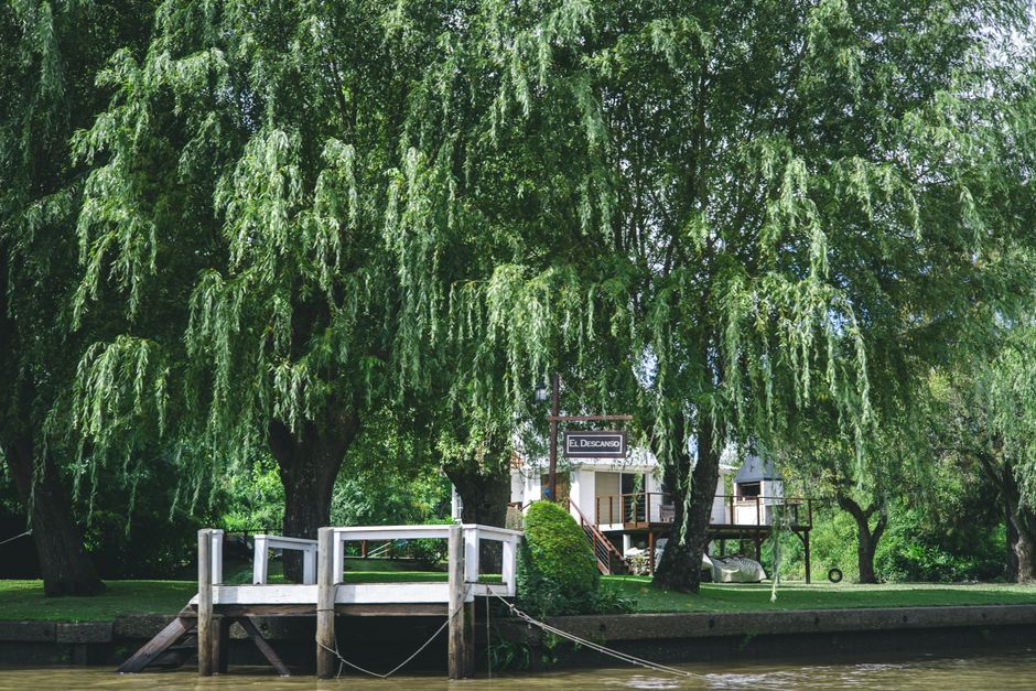 A tranquil riverside setting with lush trees and a wooden dock under bright daylight.