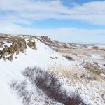 What We Have to Learn